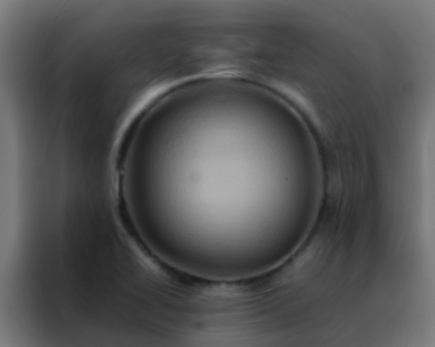 X0000088211414200705221734