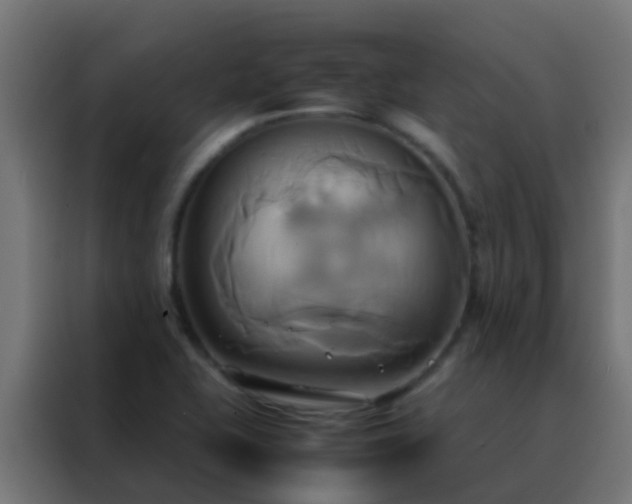 X0000088211415200705221734