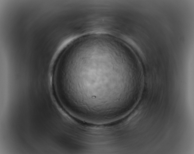 X0000088211416200705221734