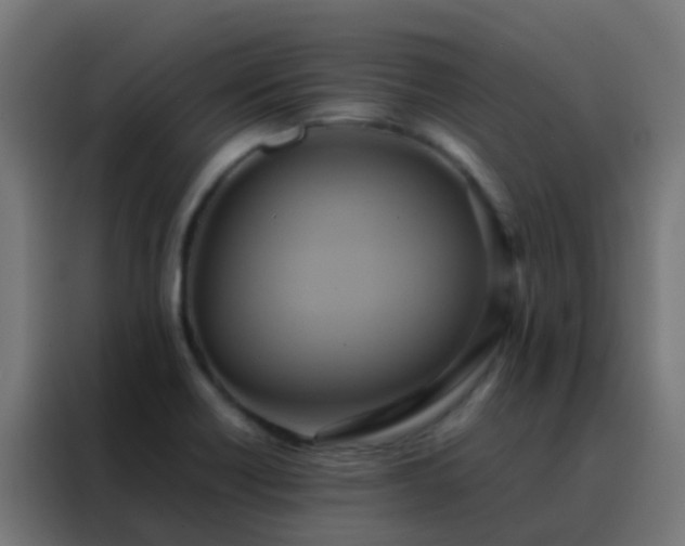 X0000088211418200705221734