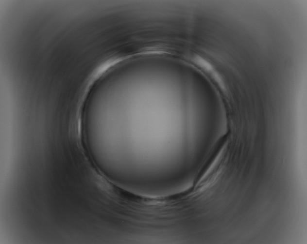 X0000088211419200705221734
