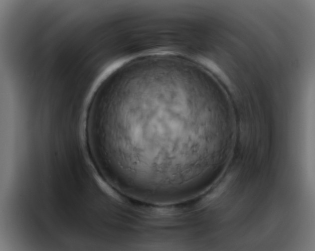 X0000088211421200705221734