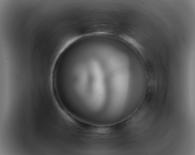 X0000088211423200705221734