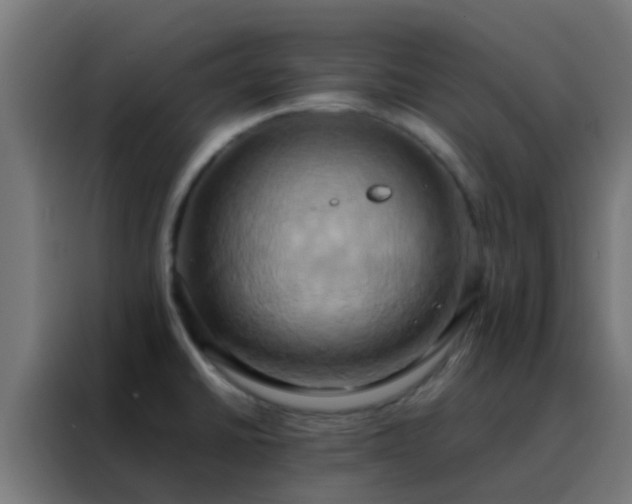 X0000088211430200705221734
