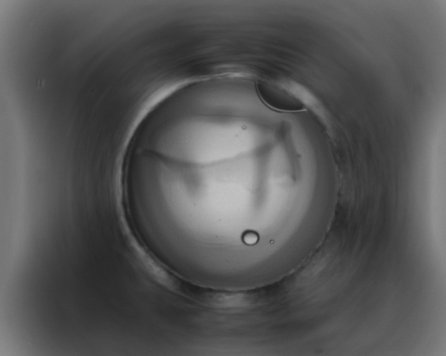 X0000088211431200705221734