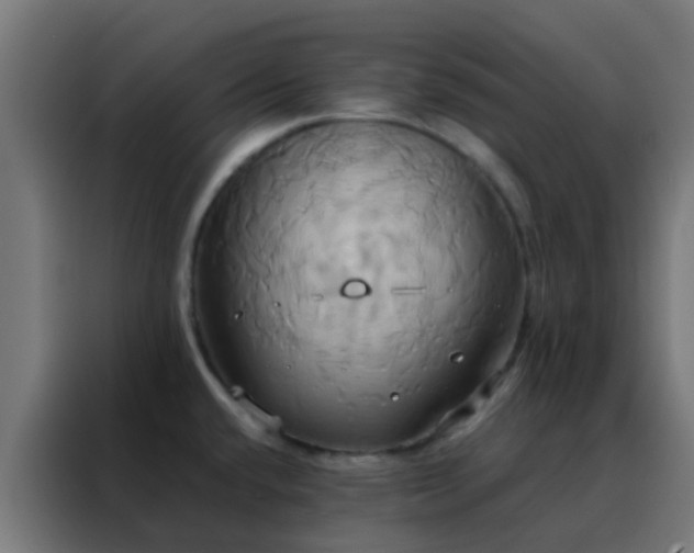 X0000088211432200705221734