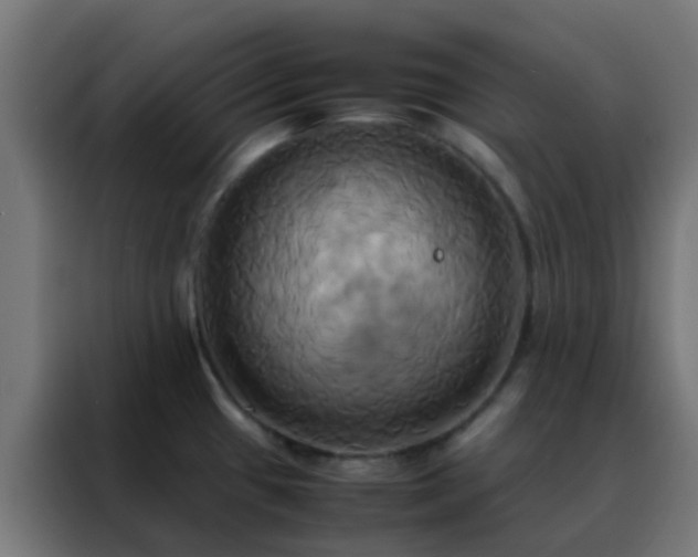 X0000088211433200705221734