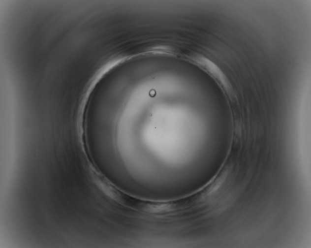 X0000088211435200705221734