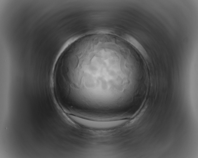 X0000088211436200705221734