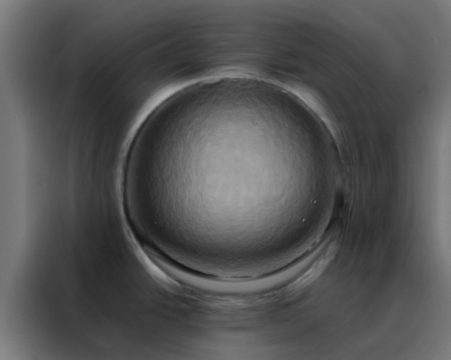 X0000088211438200705221734