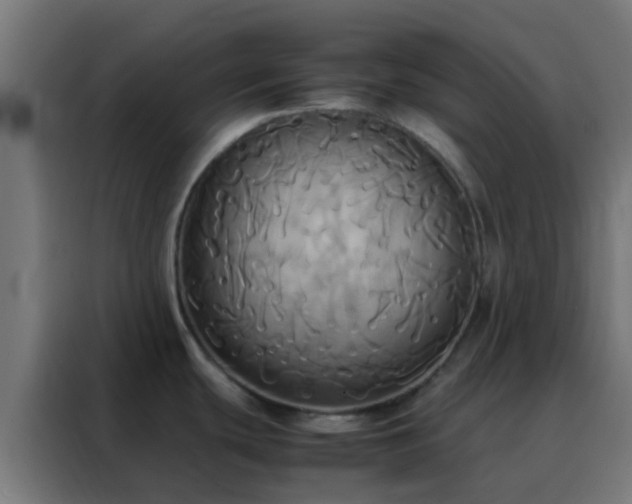 X0000088211439200705221734