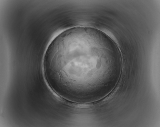 X0000088211440200705221734
