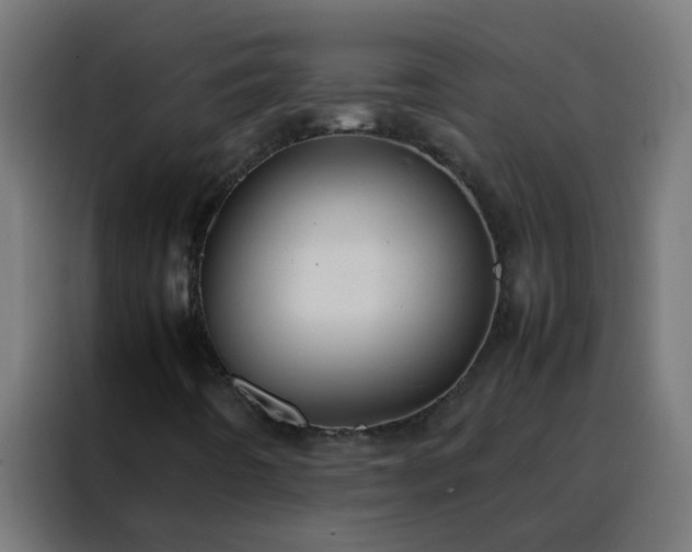 X0000088211442200705221734