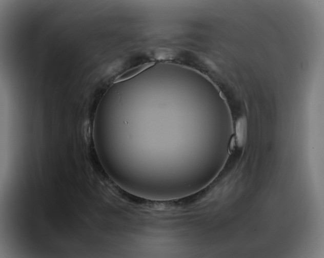X0000088211443200705221734