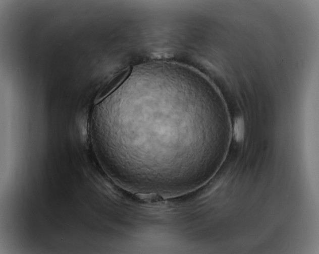 X0000088211444200705221734
