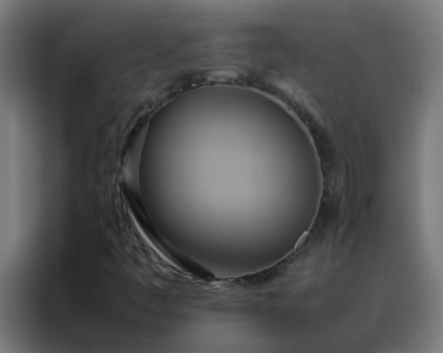 X0000088211445200705221734
