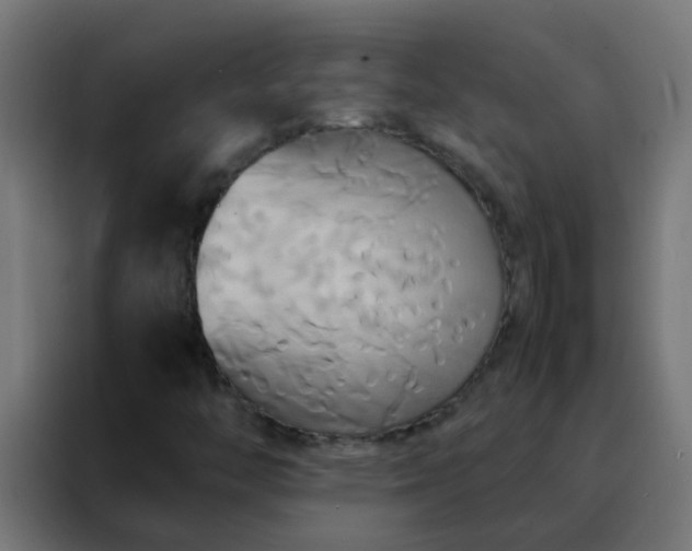 X0000088211446200705221734