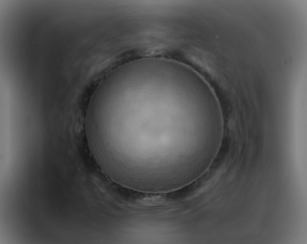 X0000088211447200705221734