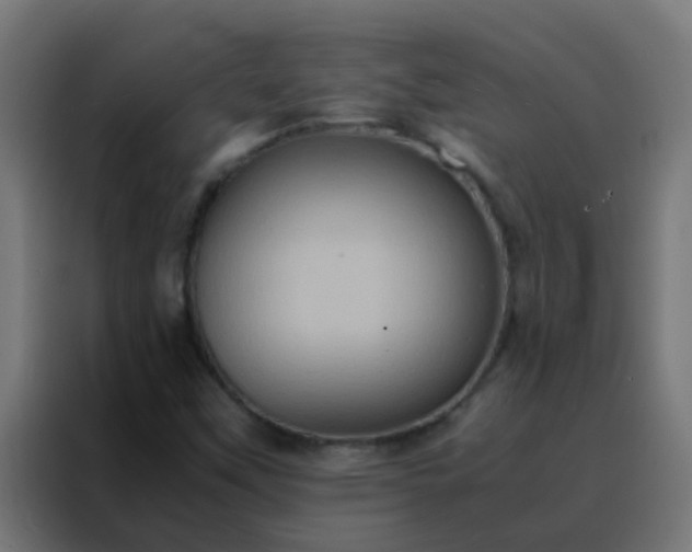 X0000088211451200705221734