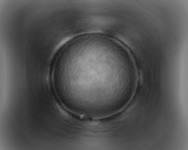 X0000088211452200705221734