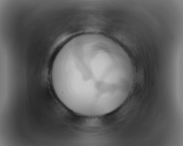 X0000088211454200705221733