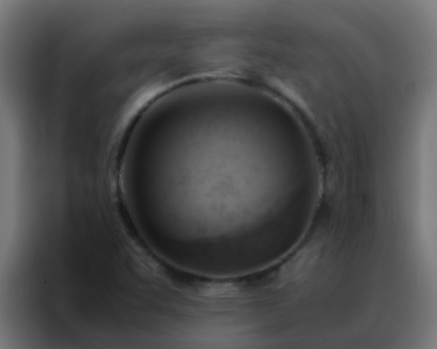 X0000088211455200705221733