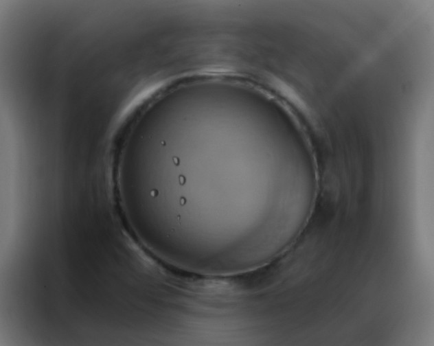 X0000088211456200705221733