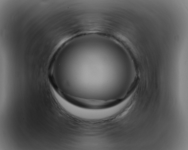 X0000088211457200705221733