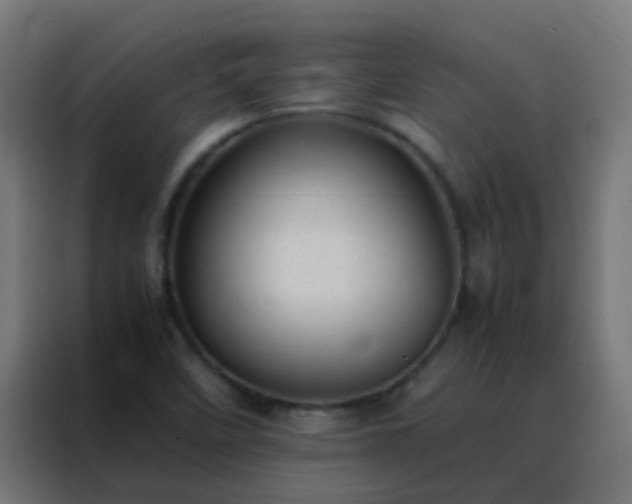 X0000088211458200705221733