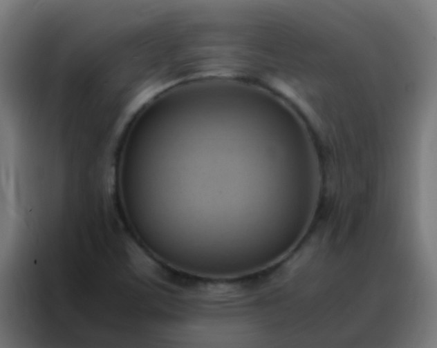 X0000088211459200705221733