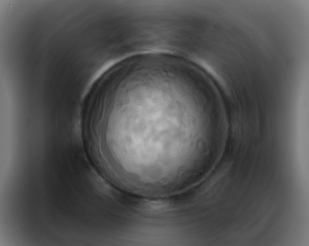 X0000088211460200705221733