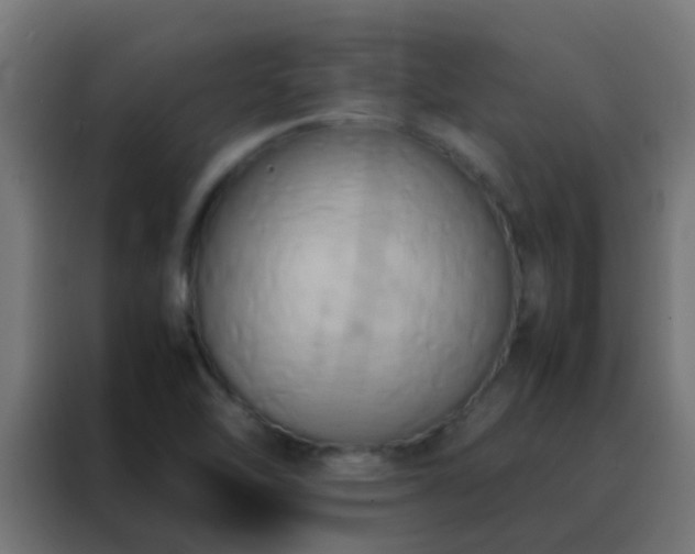 X0000088211462200705221733