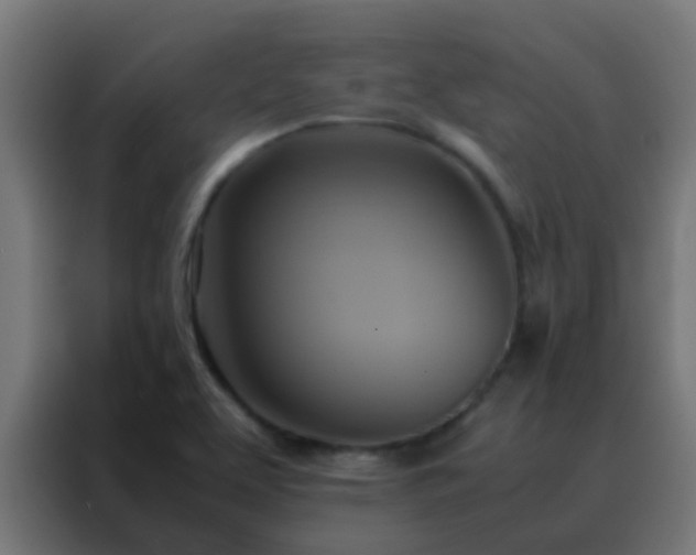 X0000088211463200705221733