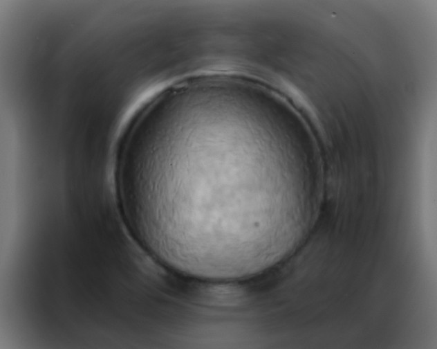 X0000088211464200705221733