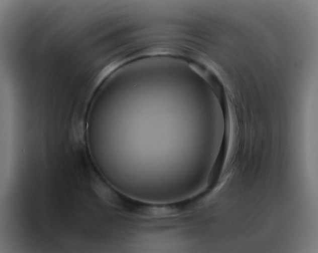 X0000088211465200705221733