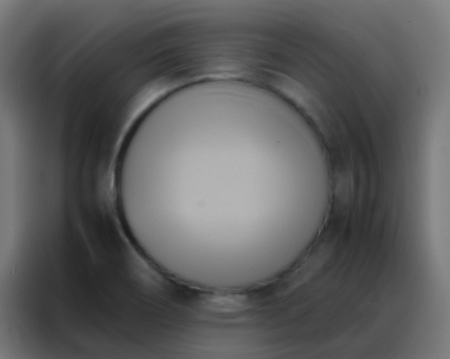 X0000088211466200705221733
