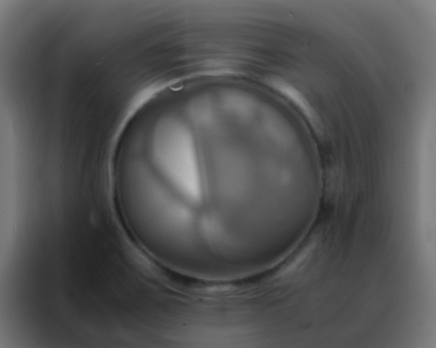 X0000088211467200705221733