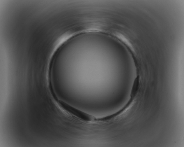 X0000088211469200705221733
