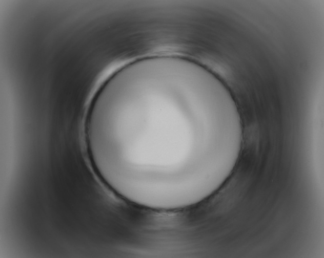 X0000088211470200705221733