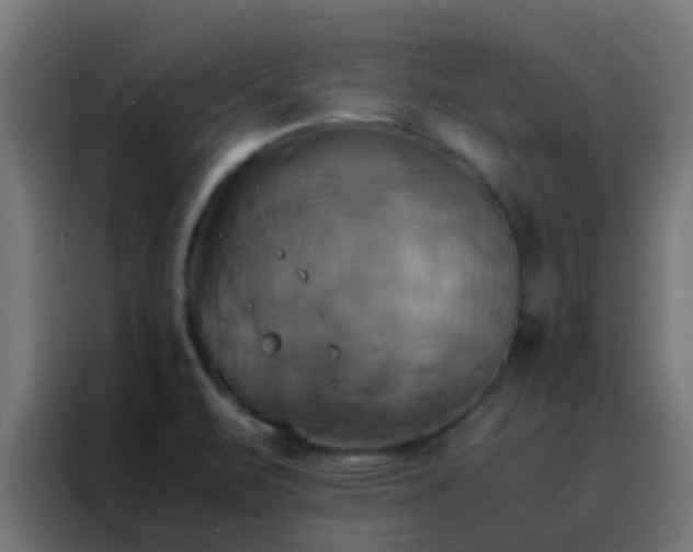 X0000088211471200705221733