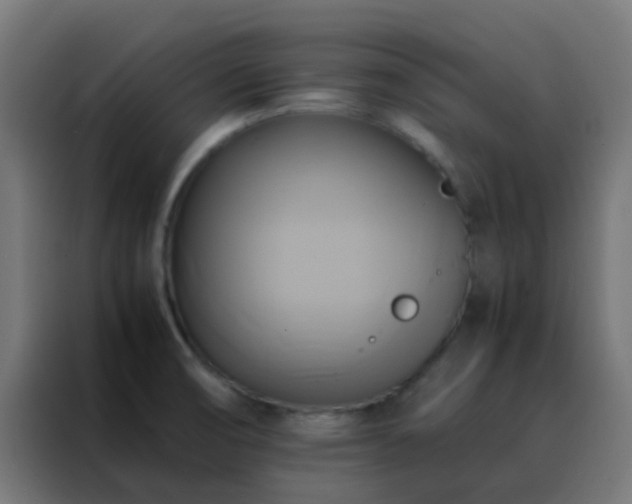 X0000088211474200705221733