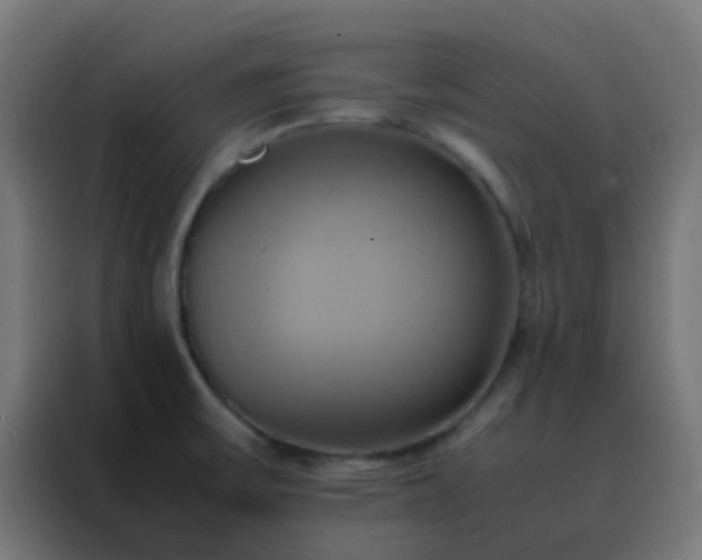 X0000088211475200705221733