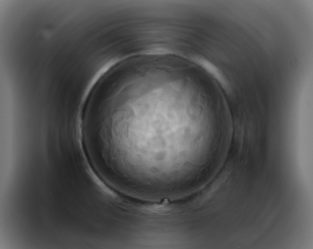 X0000088211476200705221733