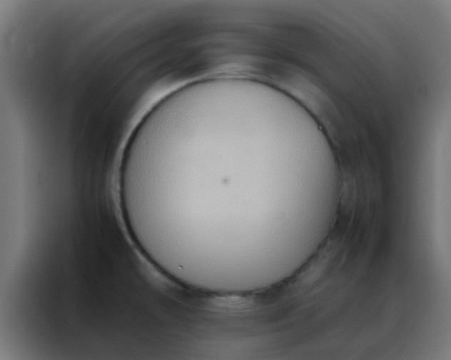 X0000088211478200705221733