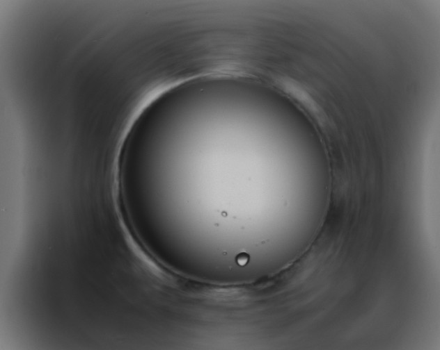 X0000088211479200705221733