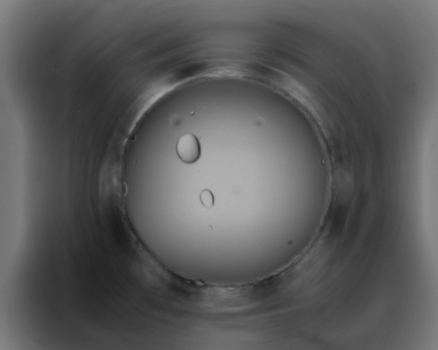 X0000088211481200705221733