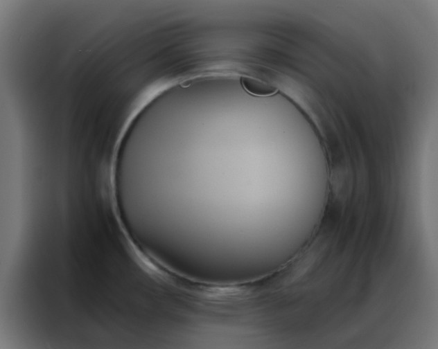X0000088211482200705221733