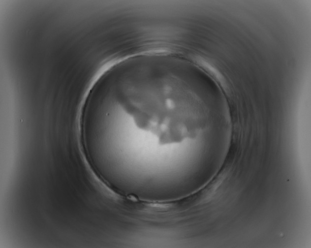 X0000088211483200705221733