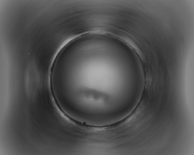 X0000088211484200705221733