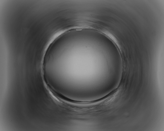 X0000088211485200705221733